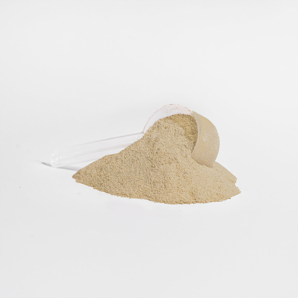 Whey Protein (Vanilla)