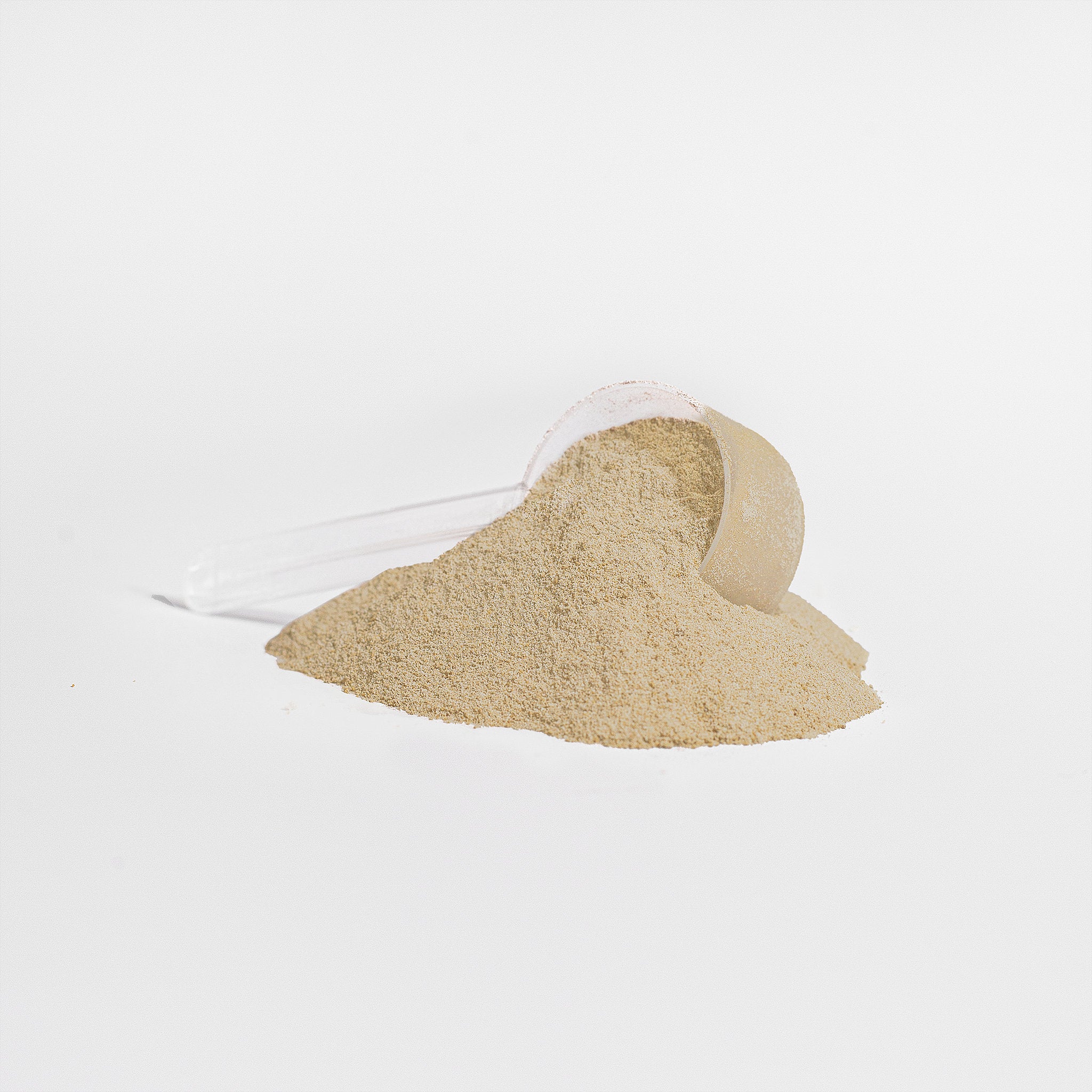 Whey Protein (Vanilla)