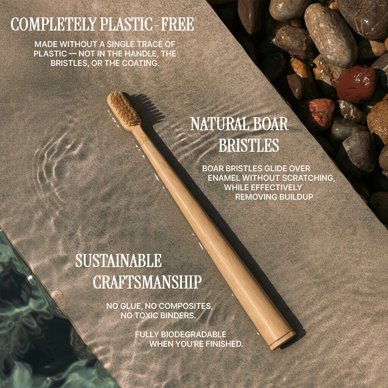 Natural Boar Bristle Toothbrush