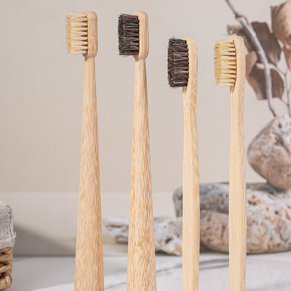 Natural Boar Bristle Toothbrush