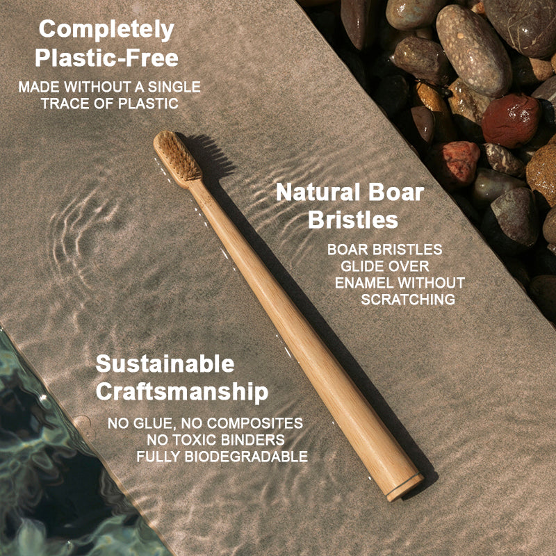 Natural Boar Bristle Toothbrush