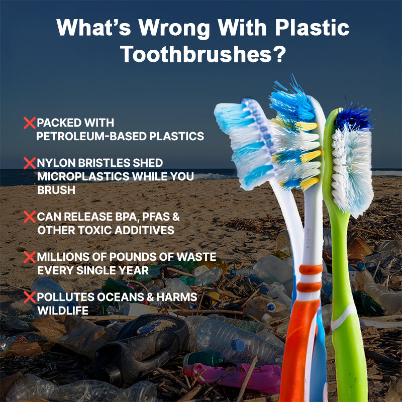 Natural Boar Bristle Toothbrush