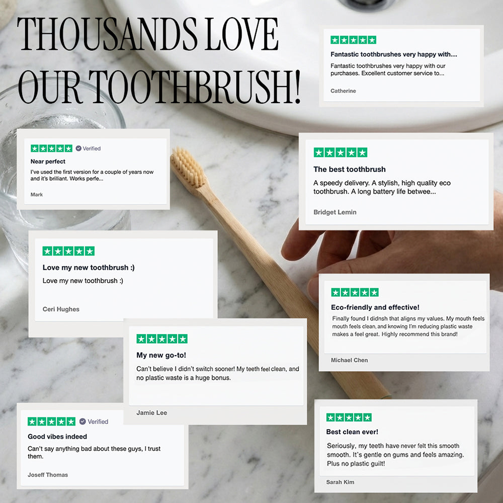 Natural Boar Bristle Toothbrush