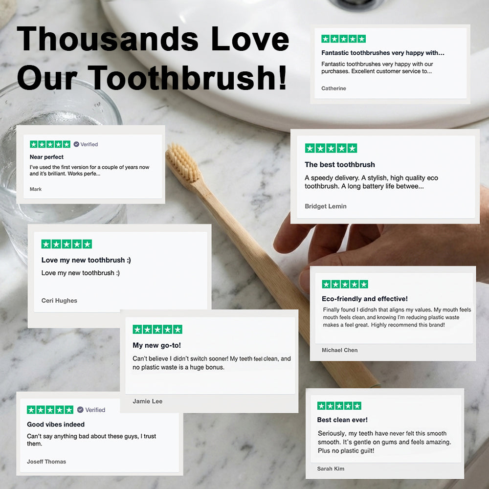 Natural Boar Bristle Toothbrush